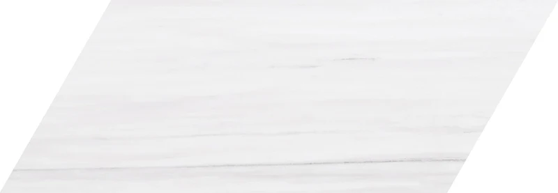 Sky White Swan2webp.webp